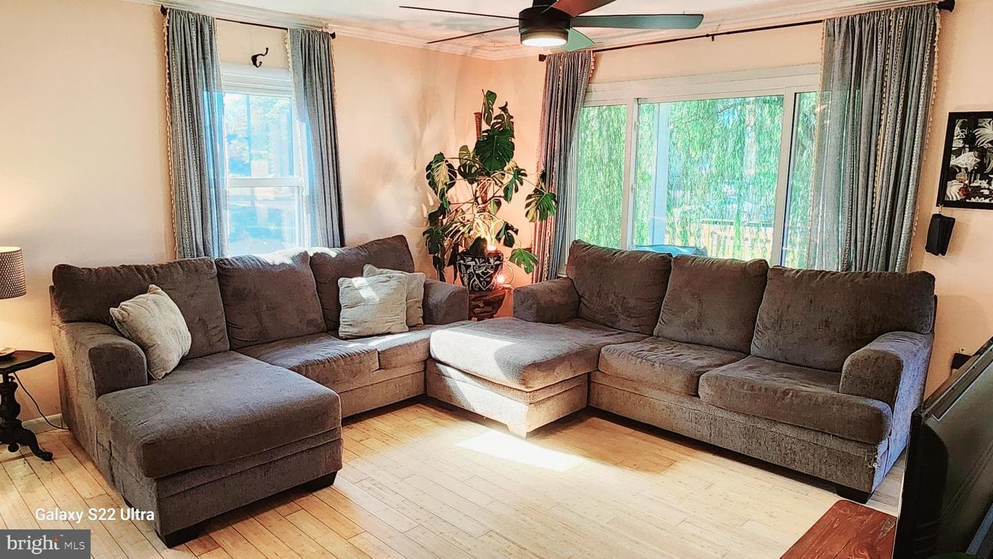 404 S Catherine Street photo 2