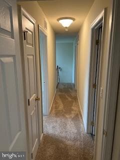 6402 Chelton Avenue photo 5