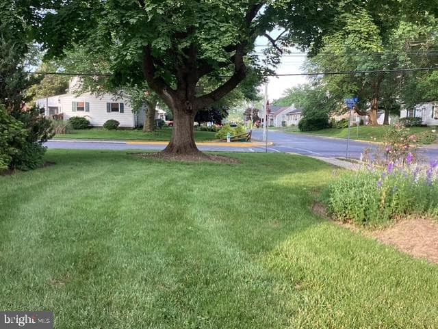 803 N Spring Street N photo 7
