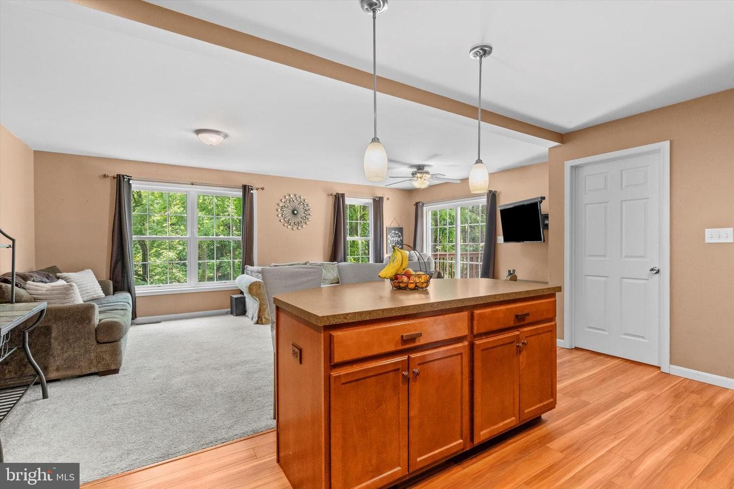 7877 Manada Ct photo 13
