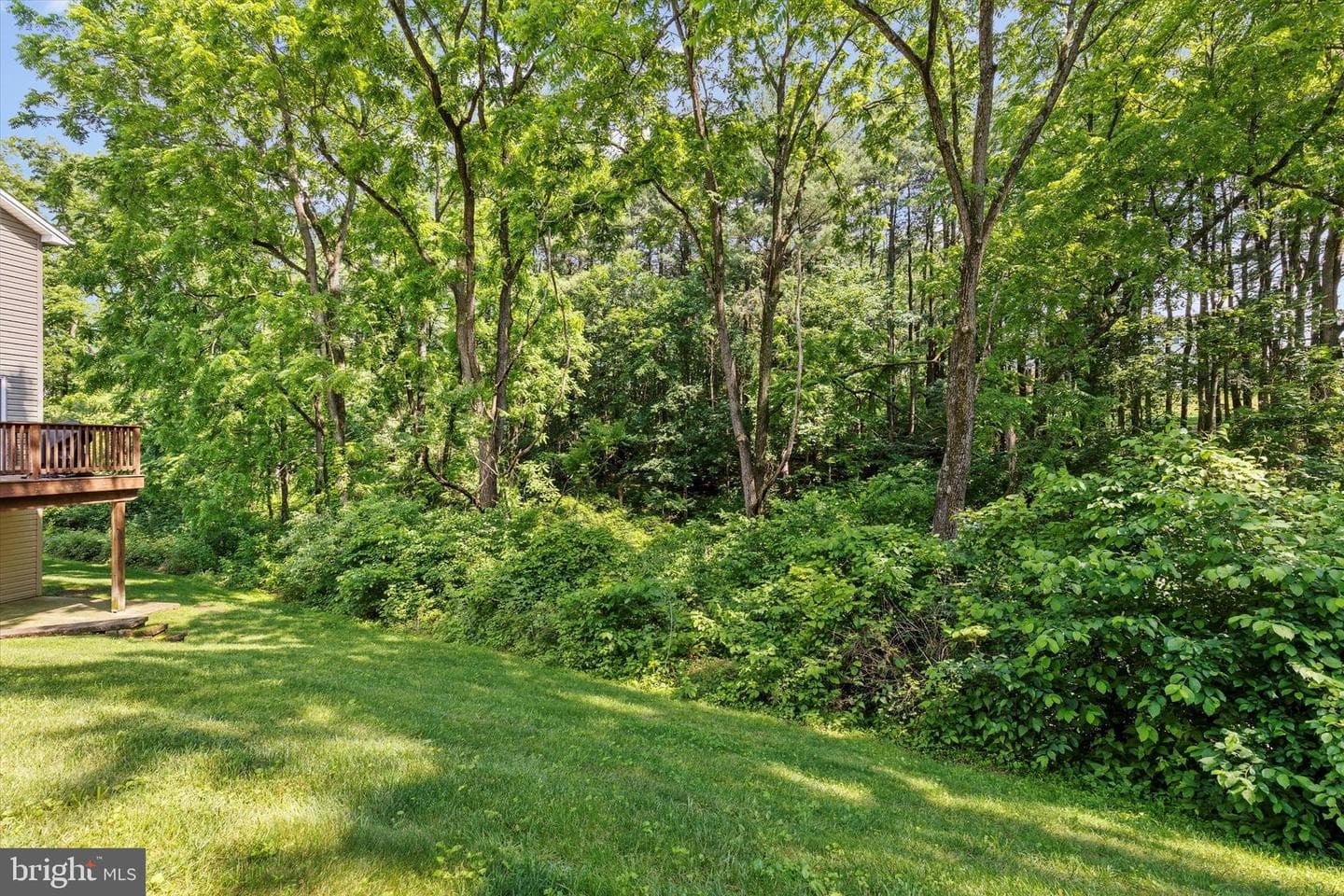 7877 Manada Ct photo 36