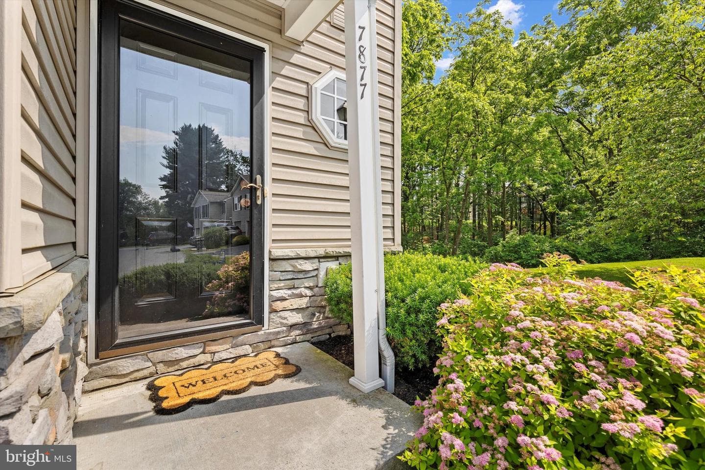 7877 Manada Ct photo 4