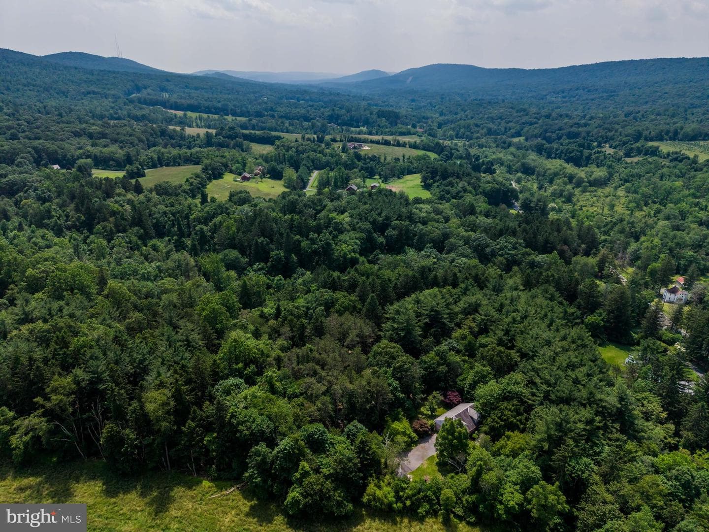 2831 Fishing Creek Valley Road photo 33