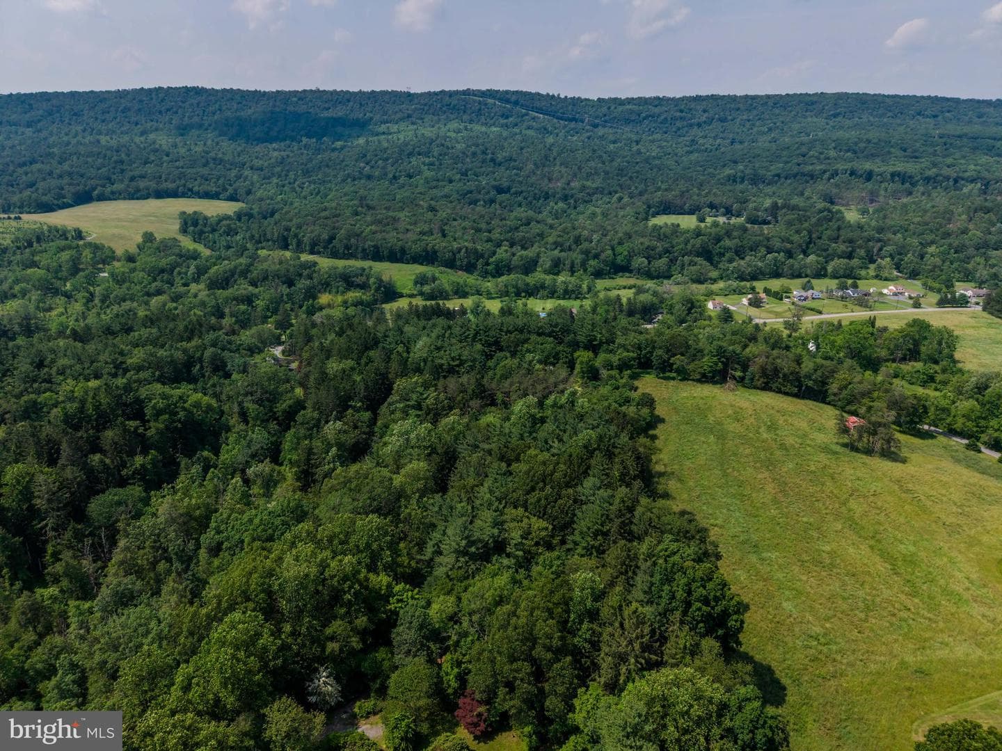 2831 Fishing Creek Valley Road photo 37