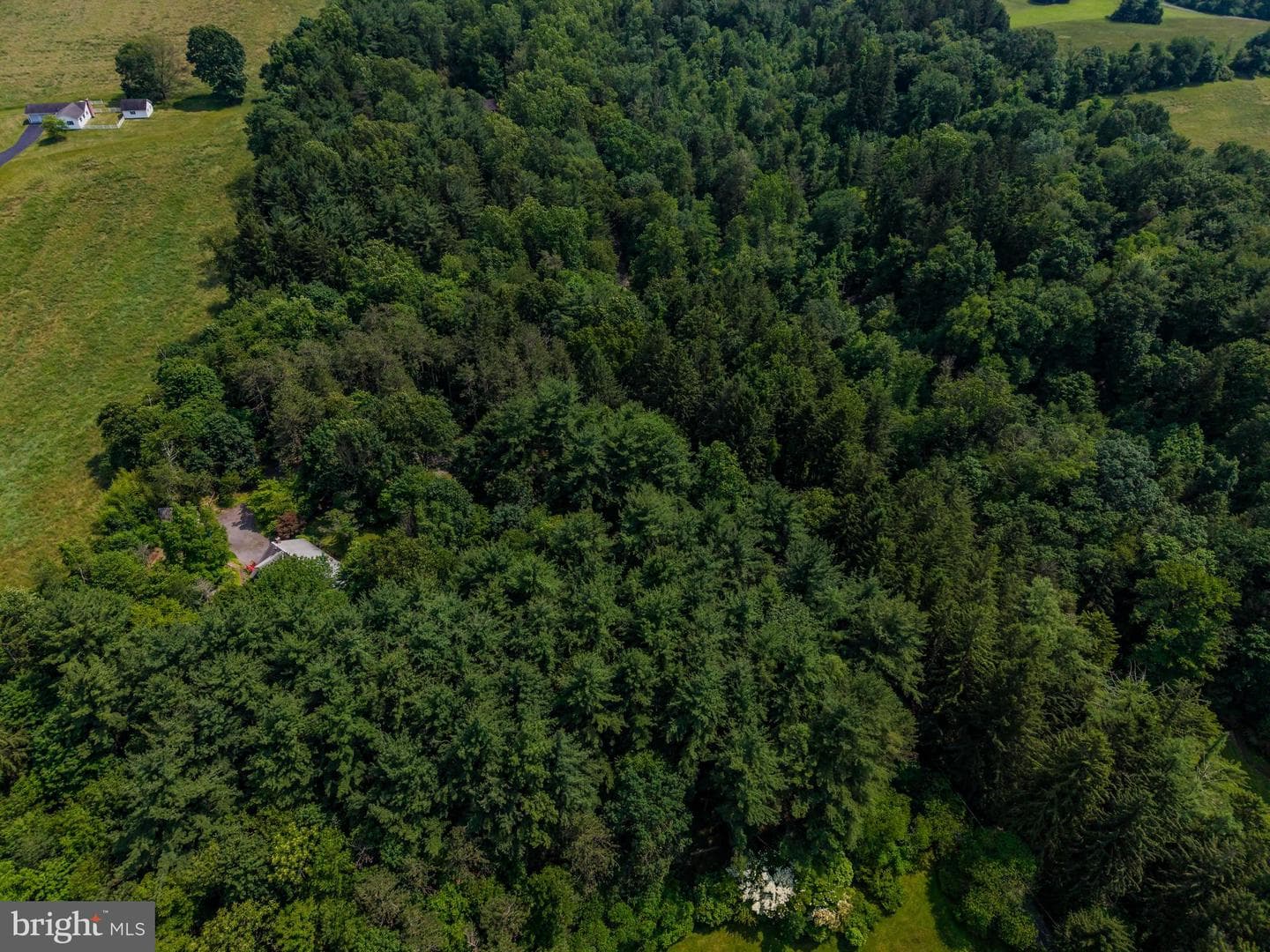 2831 Fishing Creek Valley Road photo 39