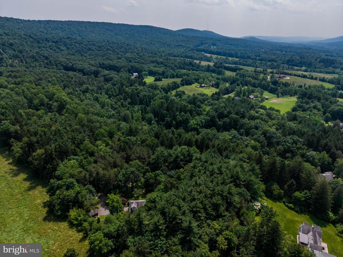 2831 Fishing Creek Valley Road photo 44