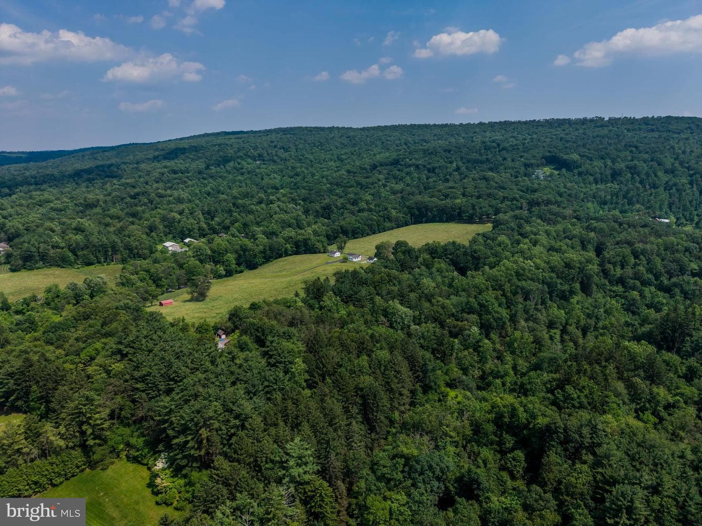 2831 Fishing Creek Valley Road photo 45