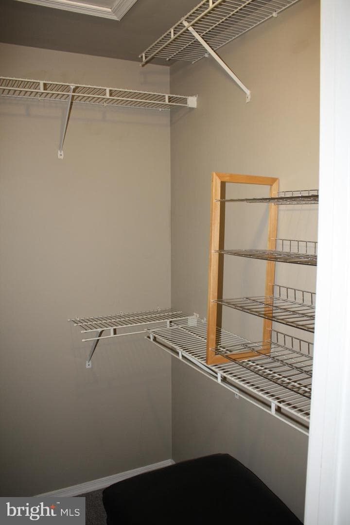 8553 Adams Court photo 14