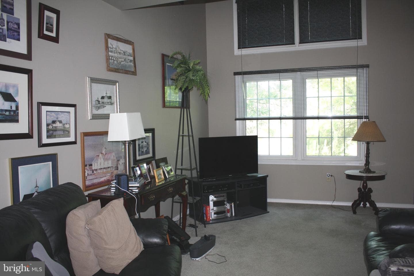 8553 Adams Court photo 5