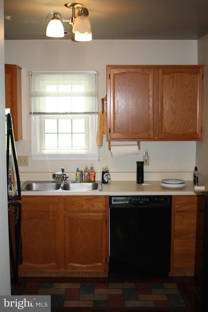 8553 Adams Court photo 9