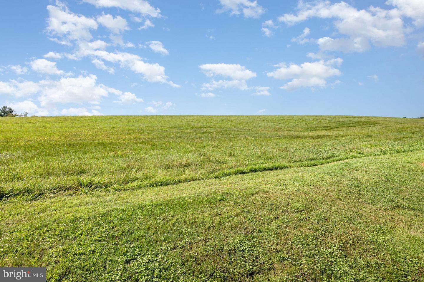 7539 Fishing Creek Valley Road photo 30