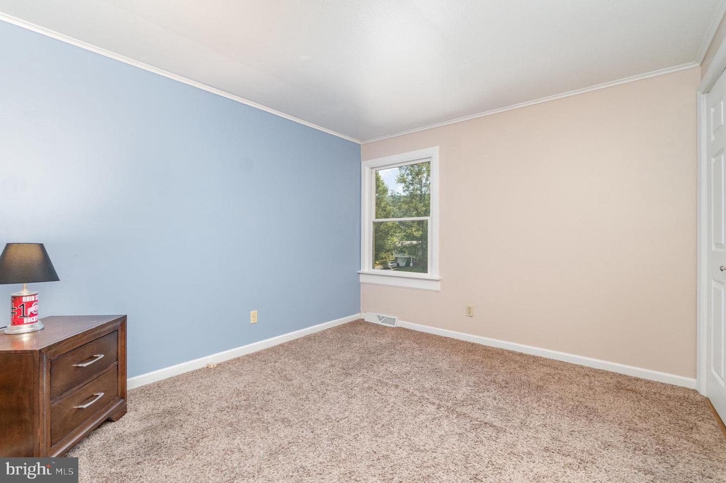 120 Denison Drive photo 18