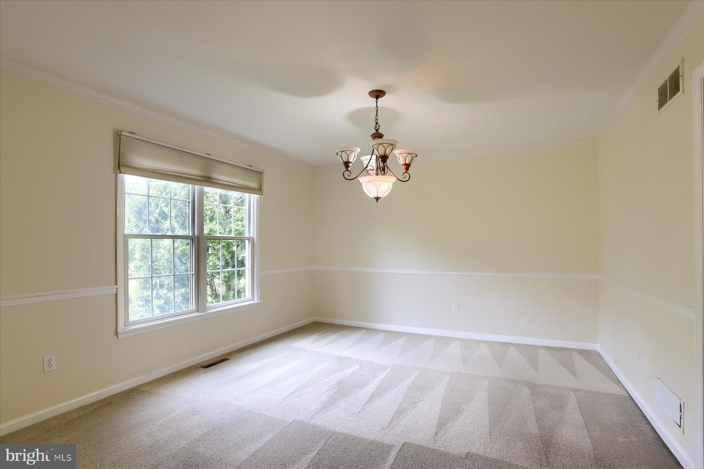 101 Lentz Drive photo 13