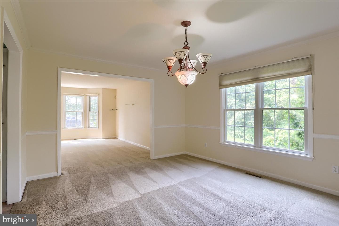 101 Lentz Drive photo 14