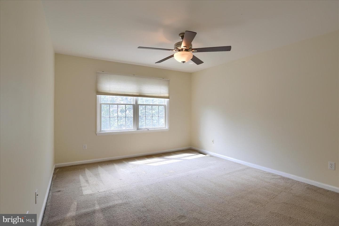 101 Lentz Drive photo 28