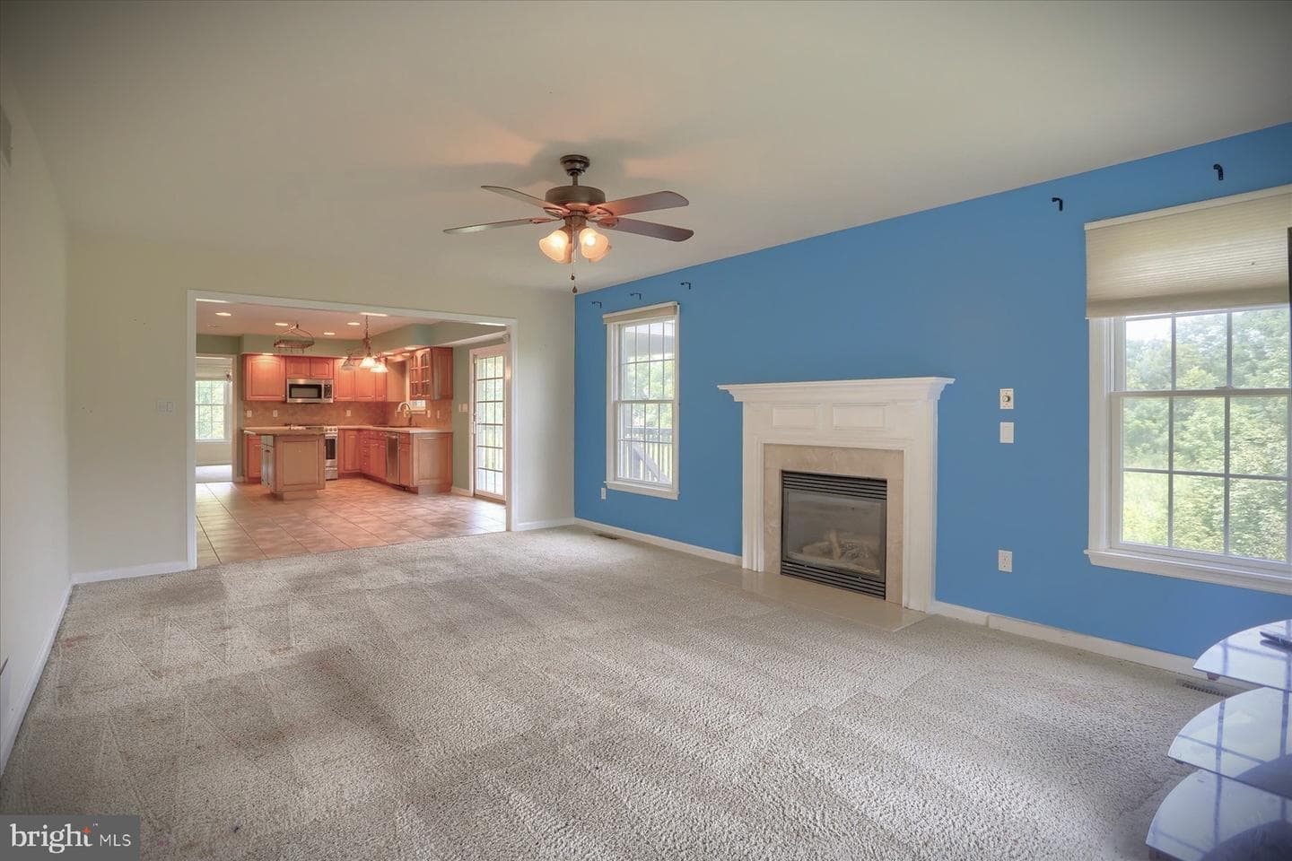 101 Lentz Drive photo 9