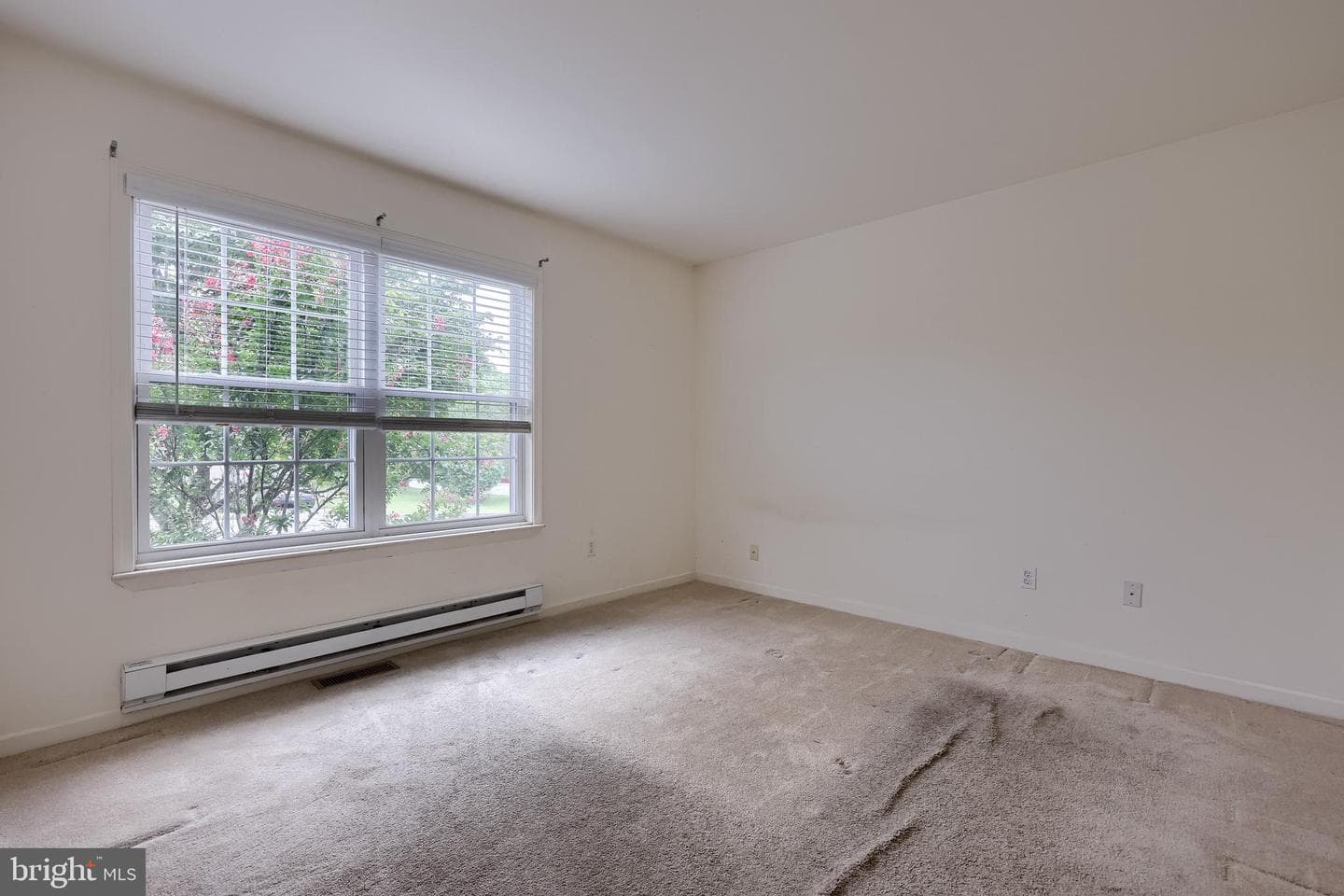983 Blue Jay Road photo 17