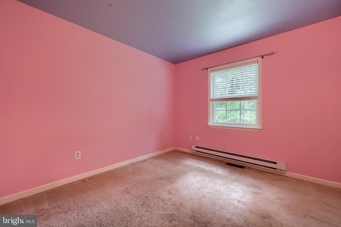 983 Blue Jay Road photo 19