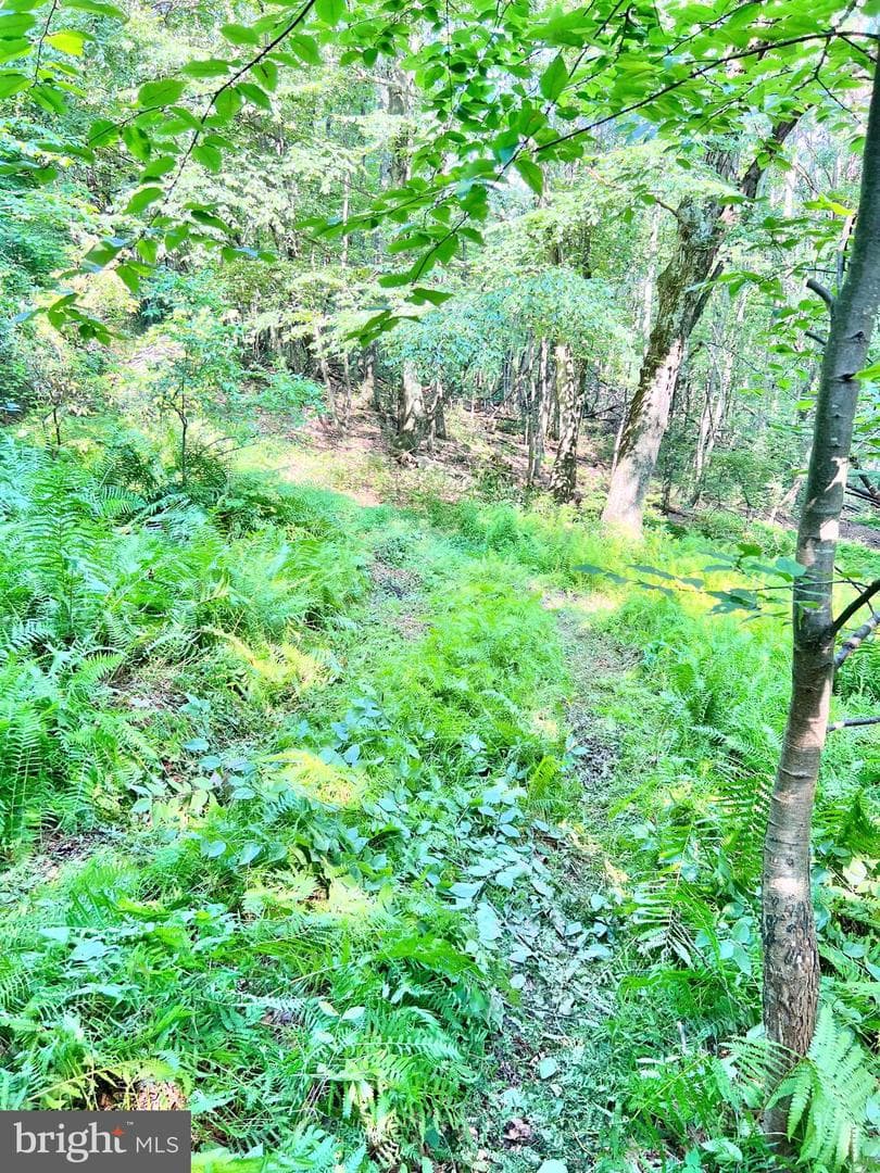7732 State Route 209 photo 59