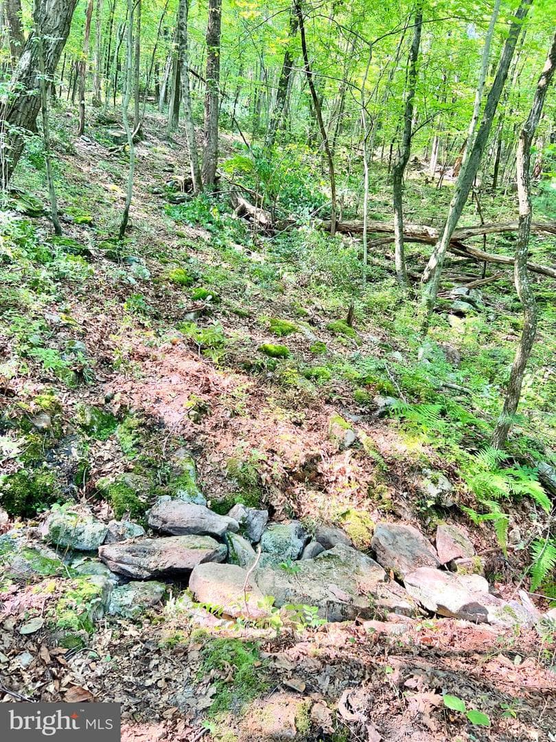 7732 State Route 209 photo 60