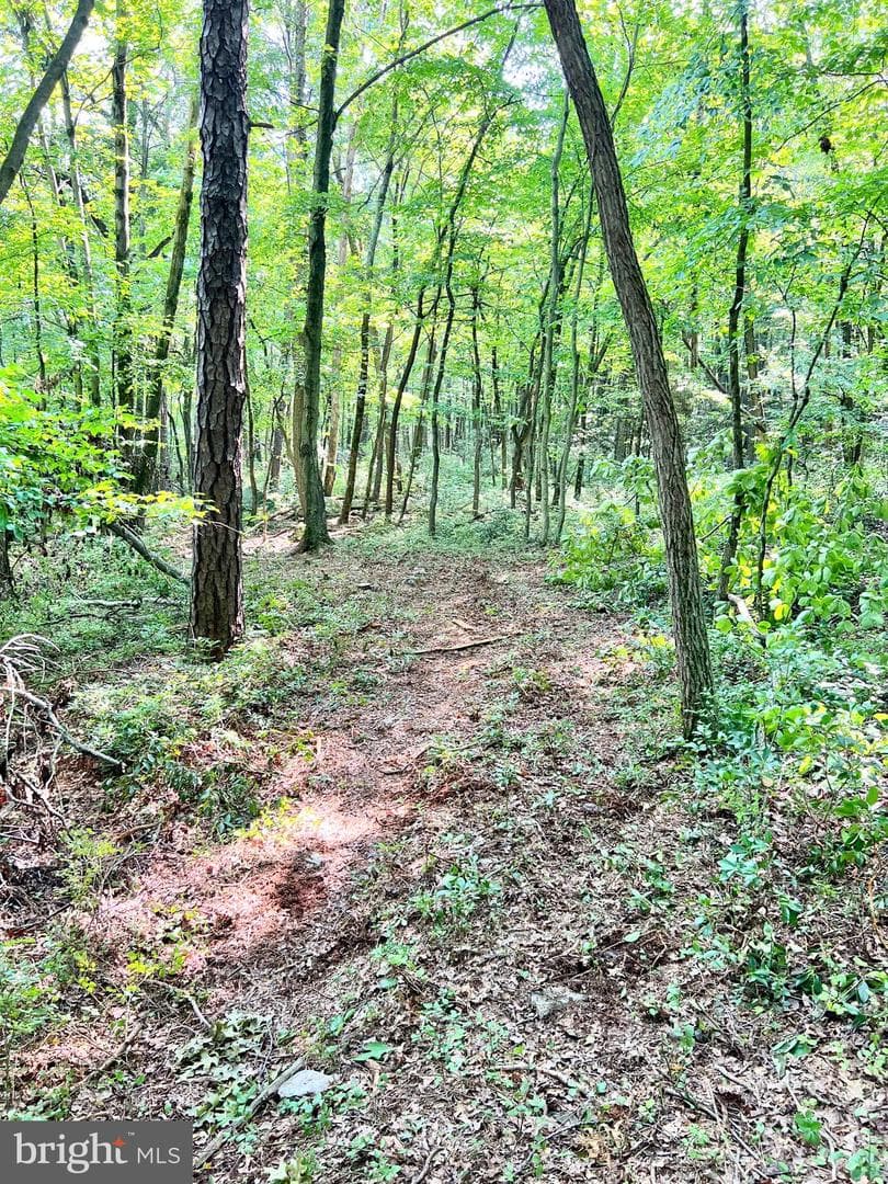 7732 State Route 209 photo 61