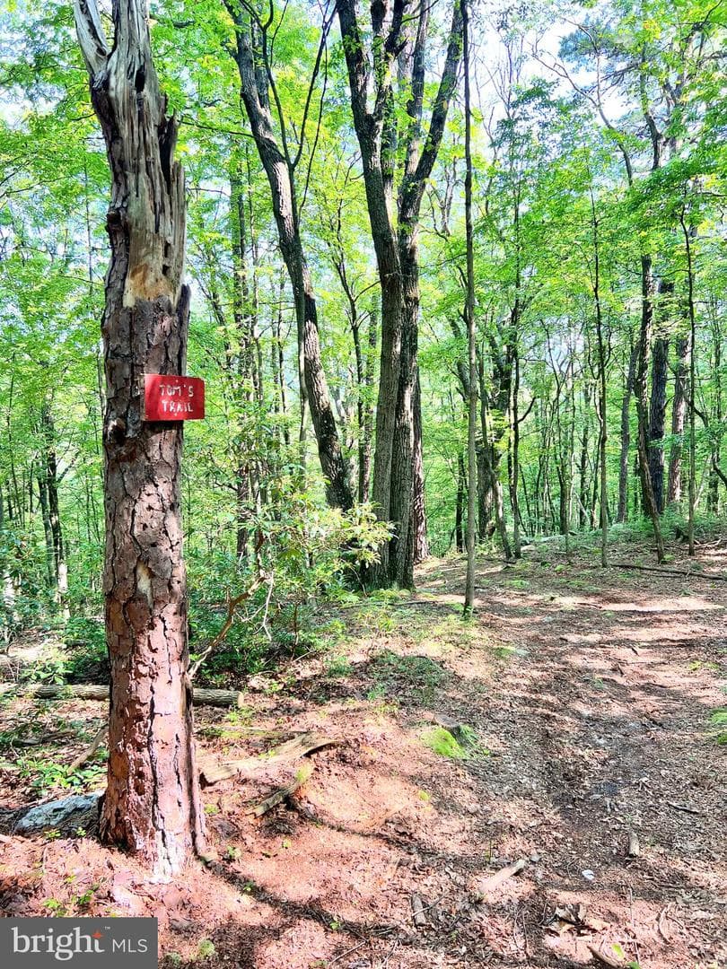7732 State Route 209 photo 63