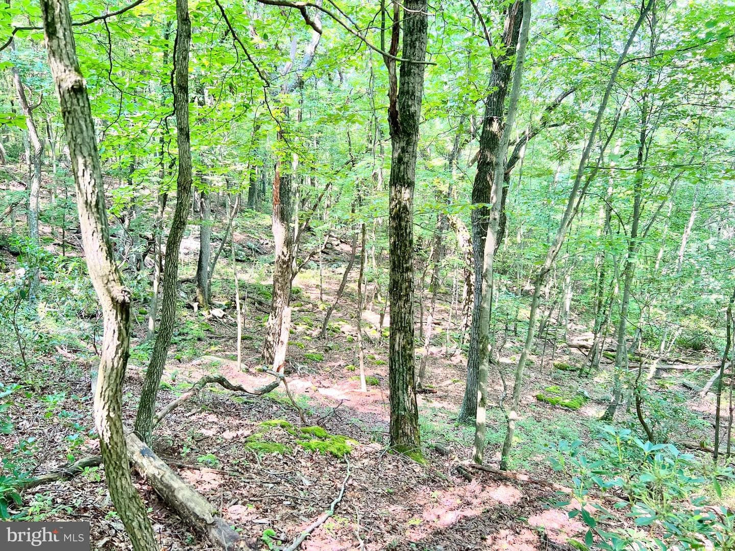 7732 State Route 209 photo 67