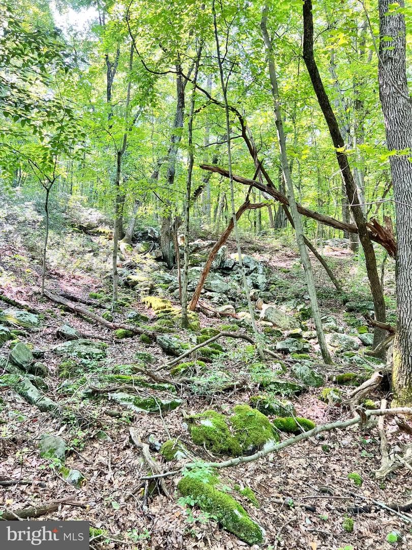 7732 State Route 209 photo 68