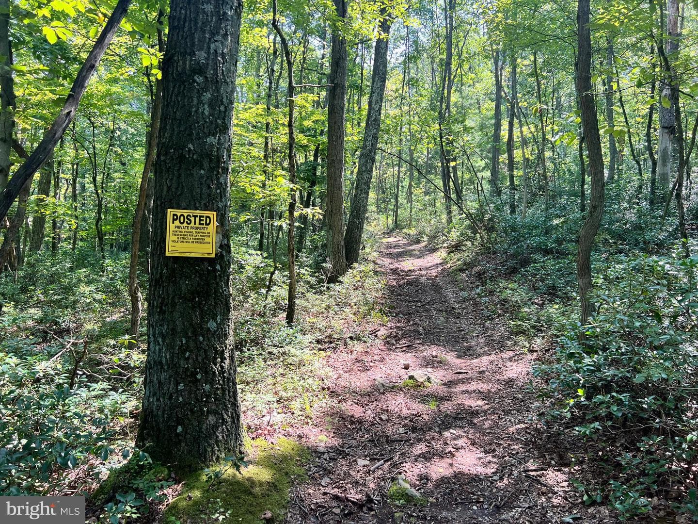7732 State Route 209 photo 69