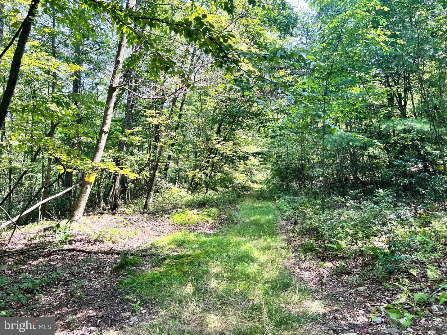 7732 State Route 209 photo 70