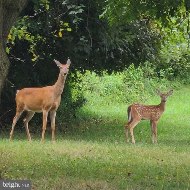 420 Oberlin Road photo 32