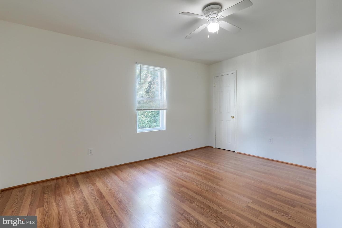 157 Ann Street photo 14
