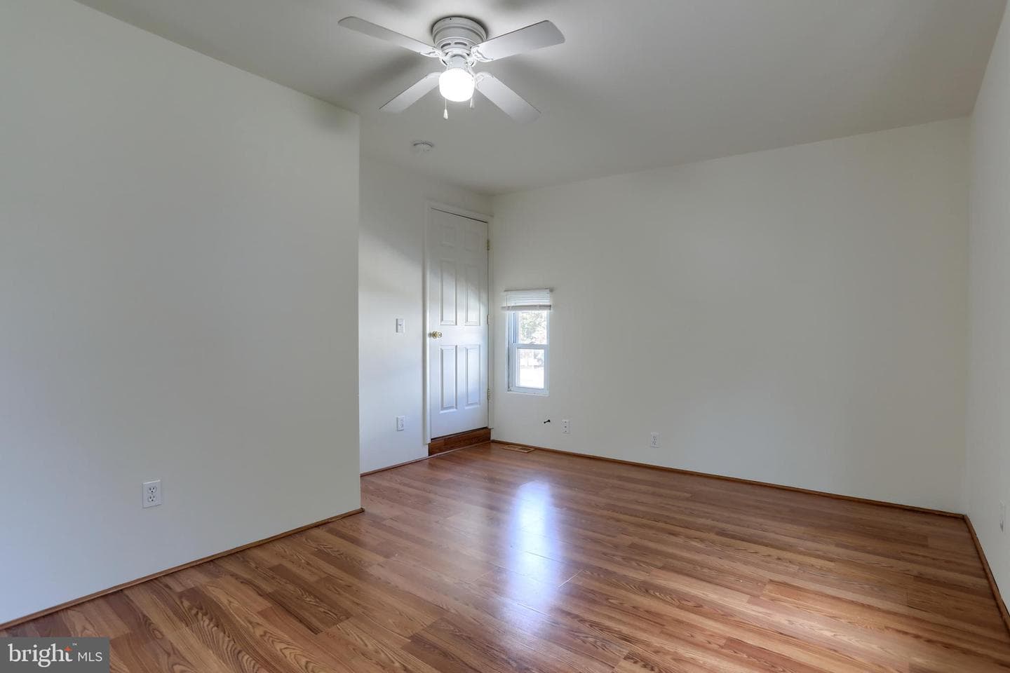 157 Ann Street photo 15