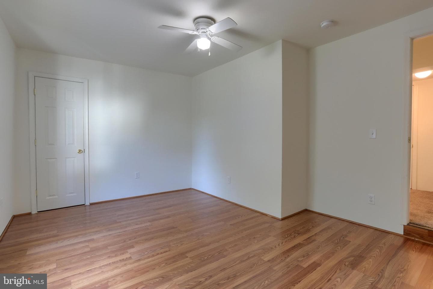 157 Ann Street photo 16