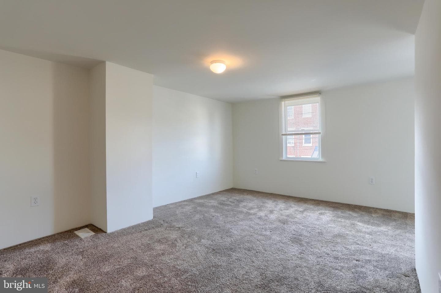 157 Ann Street photo 19