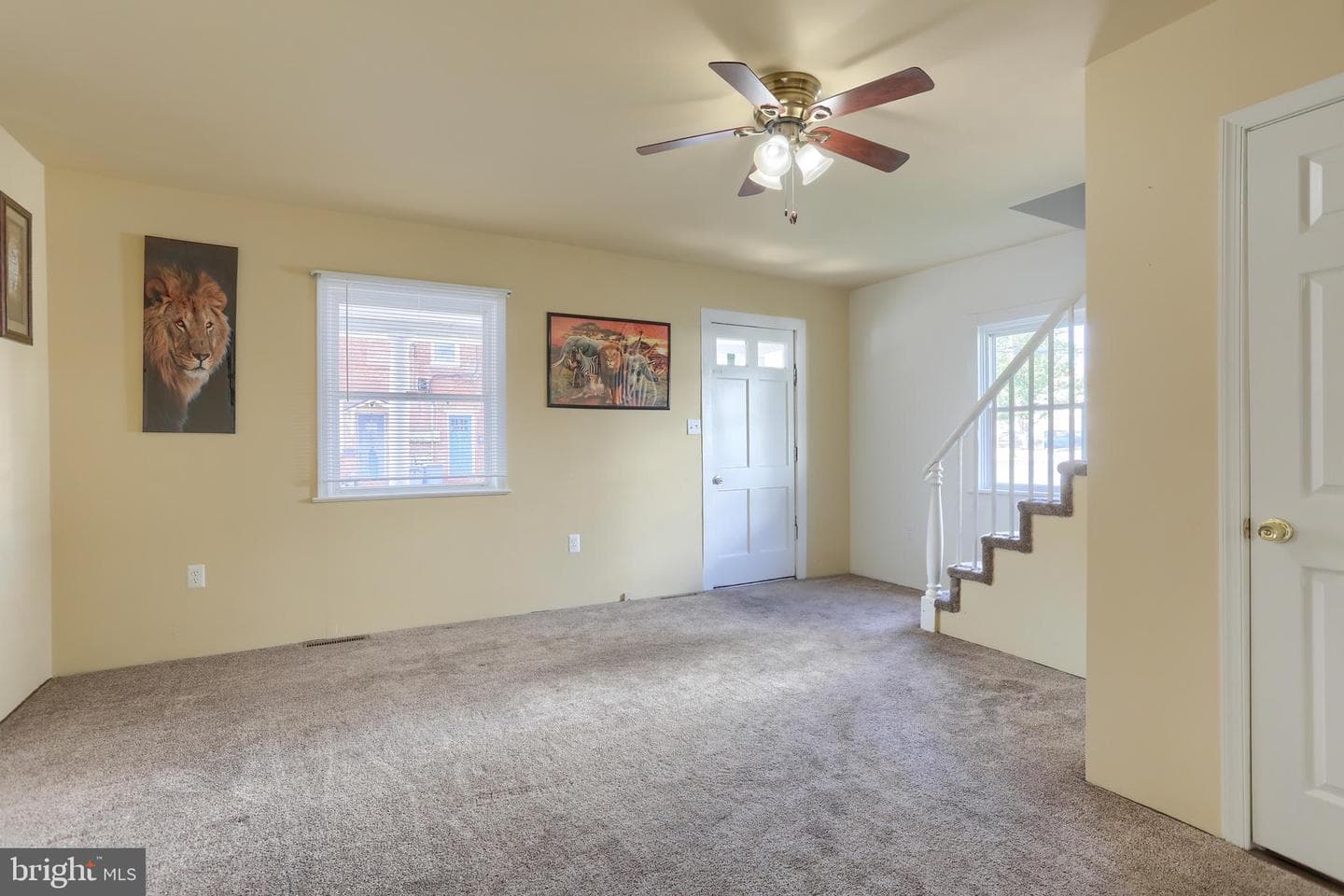 157 Ann Street photo 2