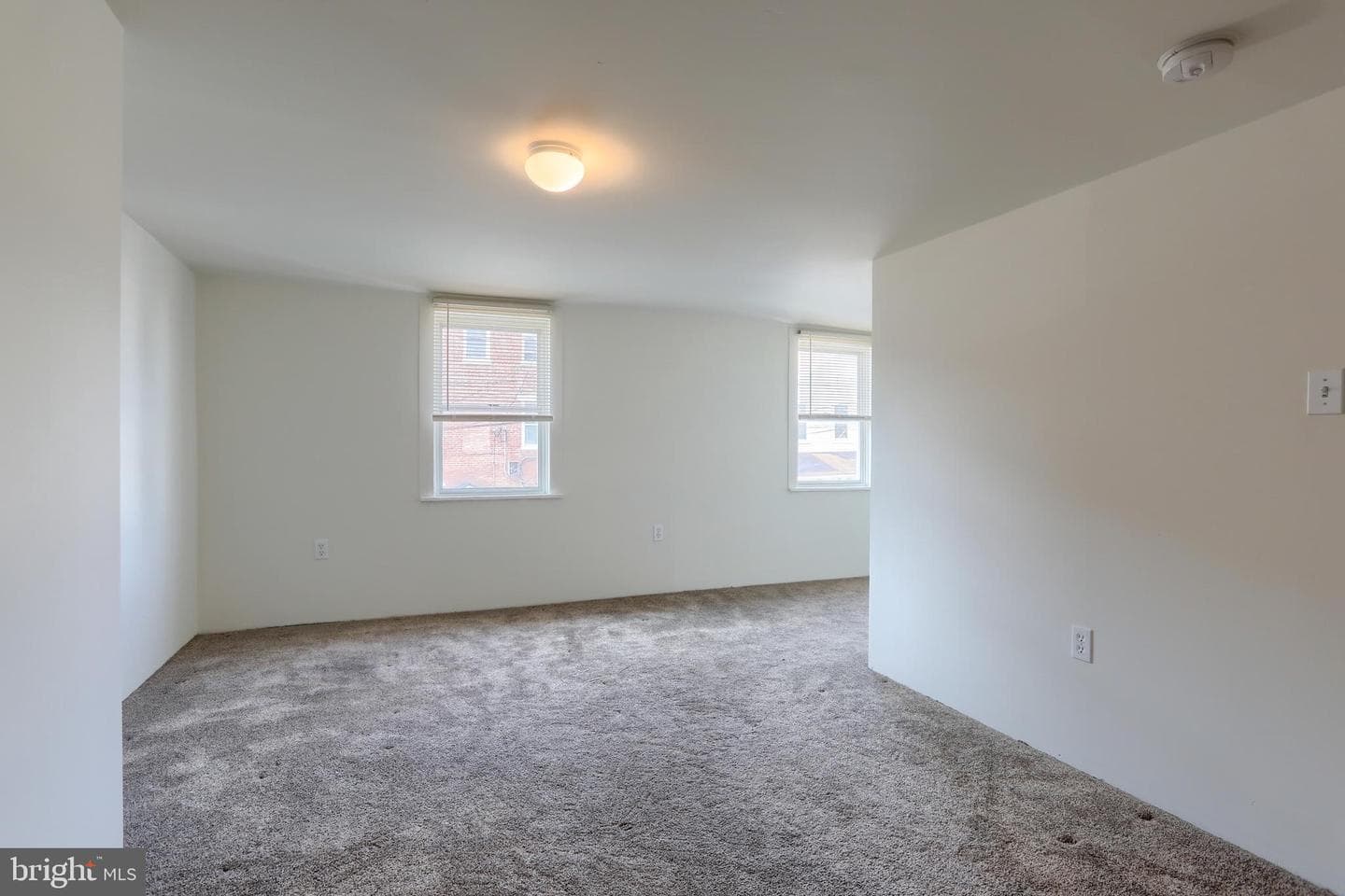 157 Ann Street photo 20