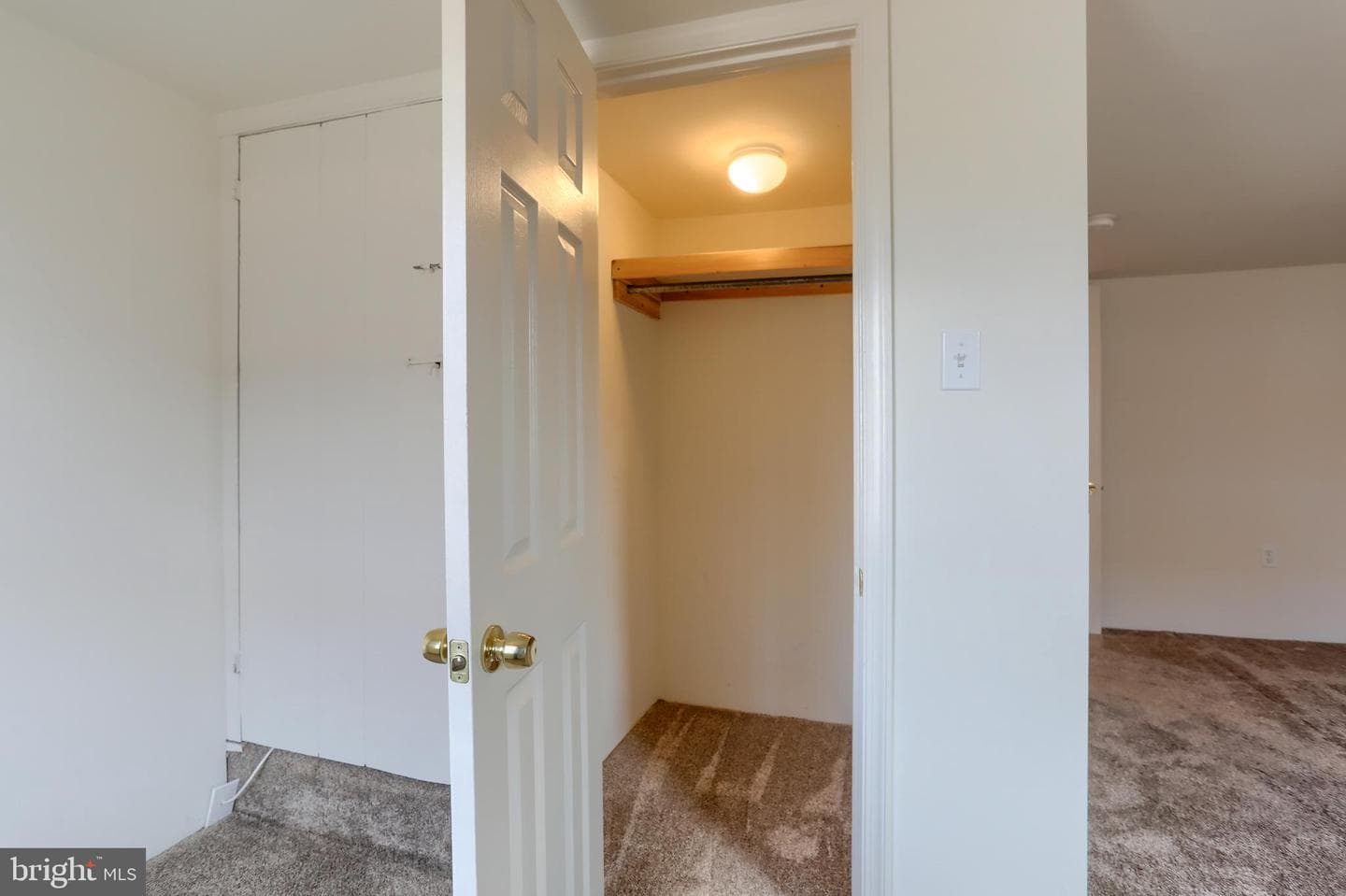 157 Ann Street photo 22
