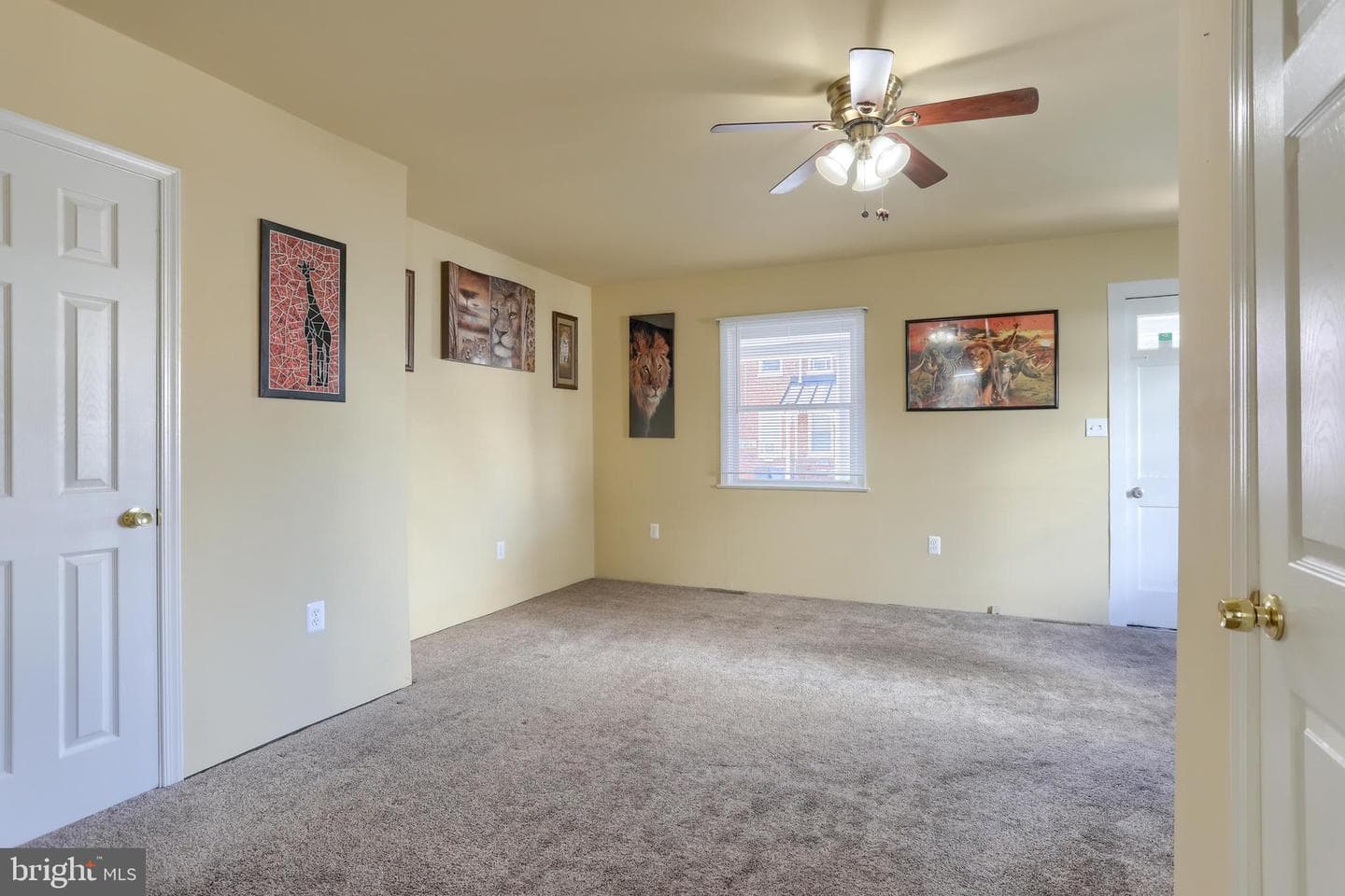 157 Ann Street photo 3