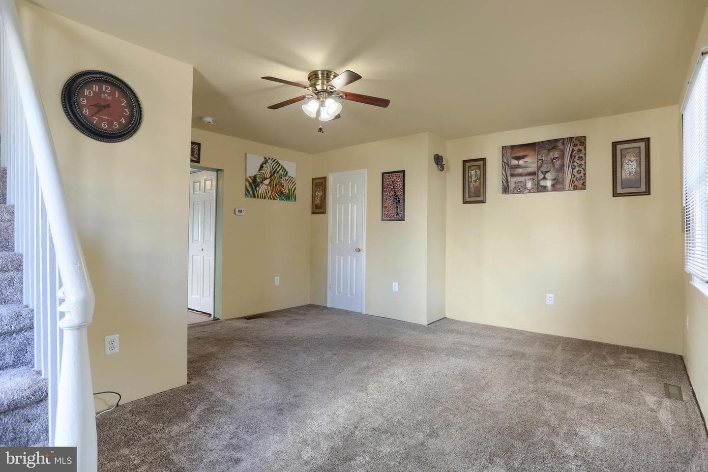 157 Ann Street photo 6