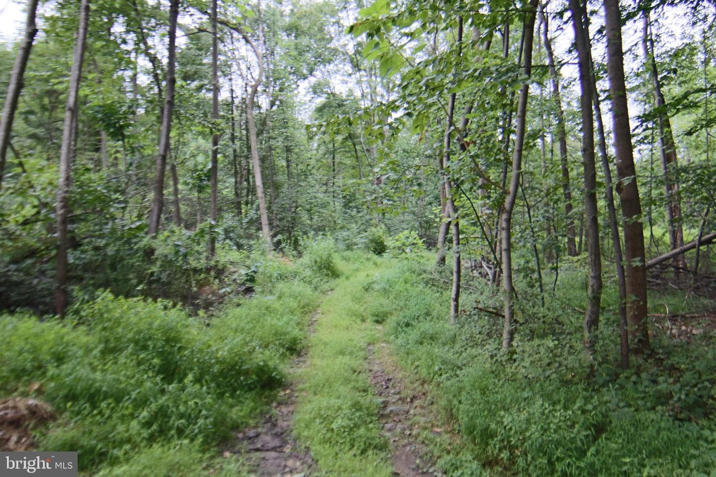 9706 Mountain Road photo 17