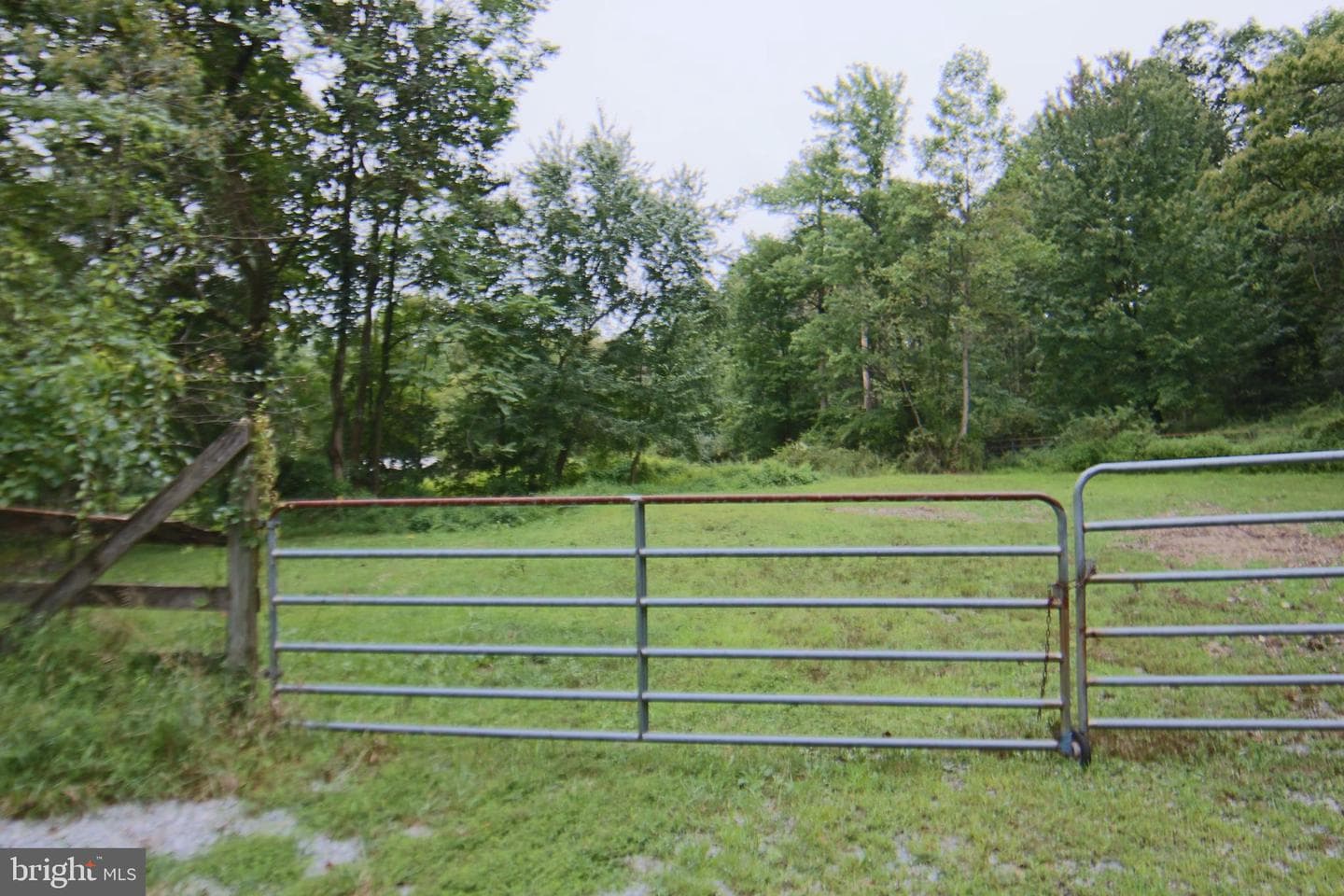 9706 Mountain Road photo 18