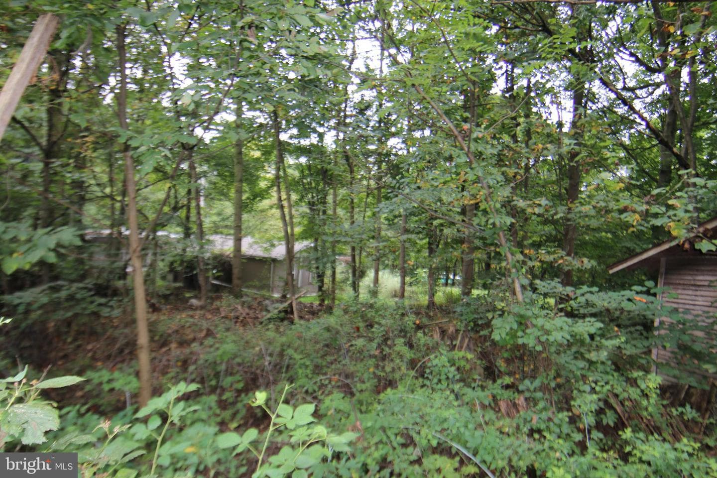 9706 Mountain Road photo 26