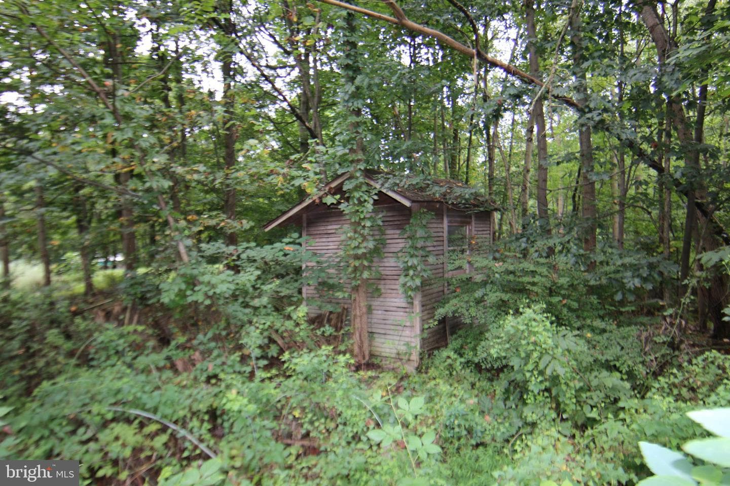 9706 Mountain Road photo 27
