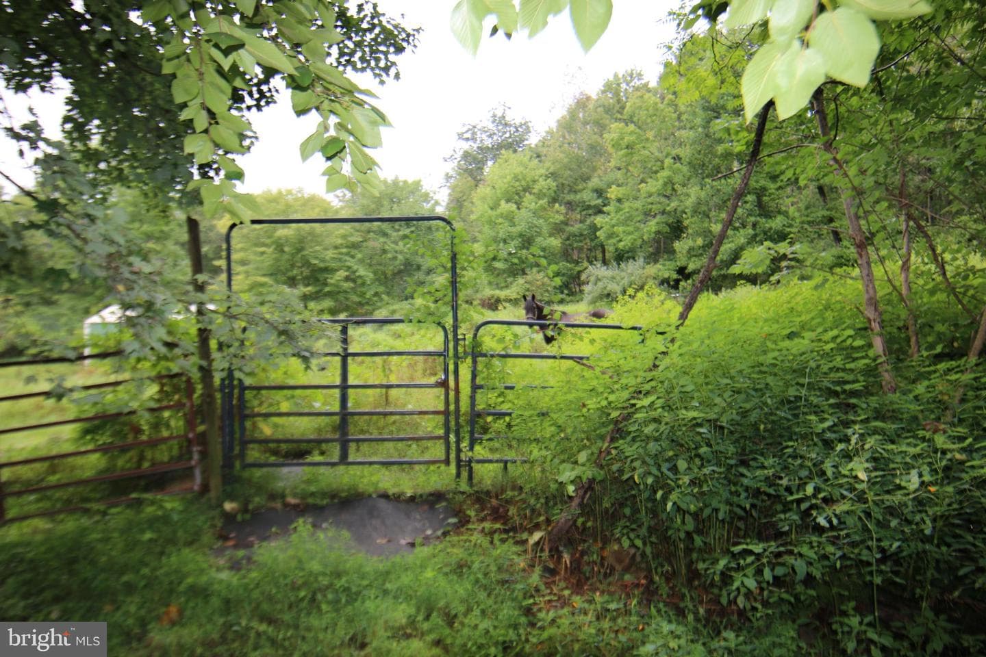 9706 Mountain Road photo 29