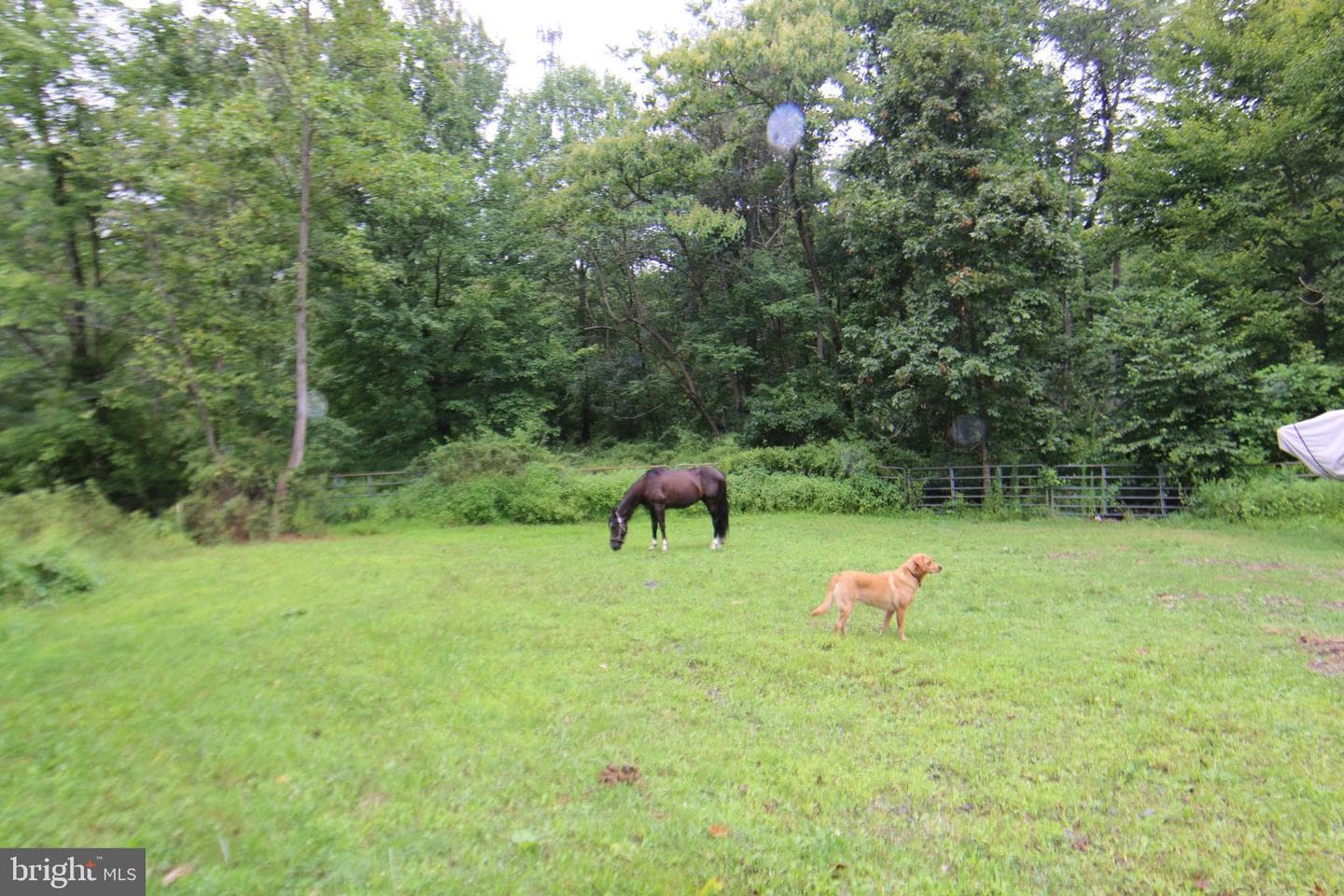 9706 Mountain Road photo 31