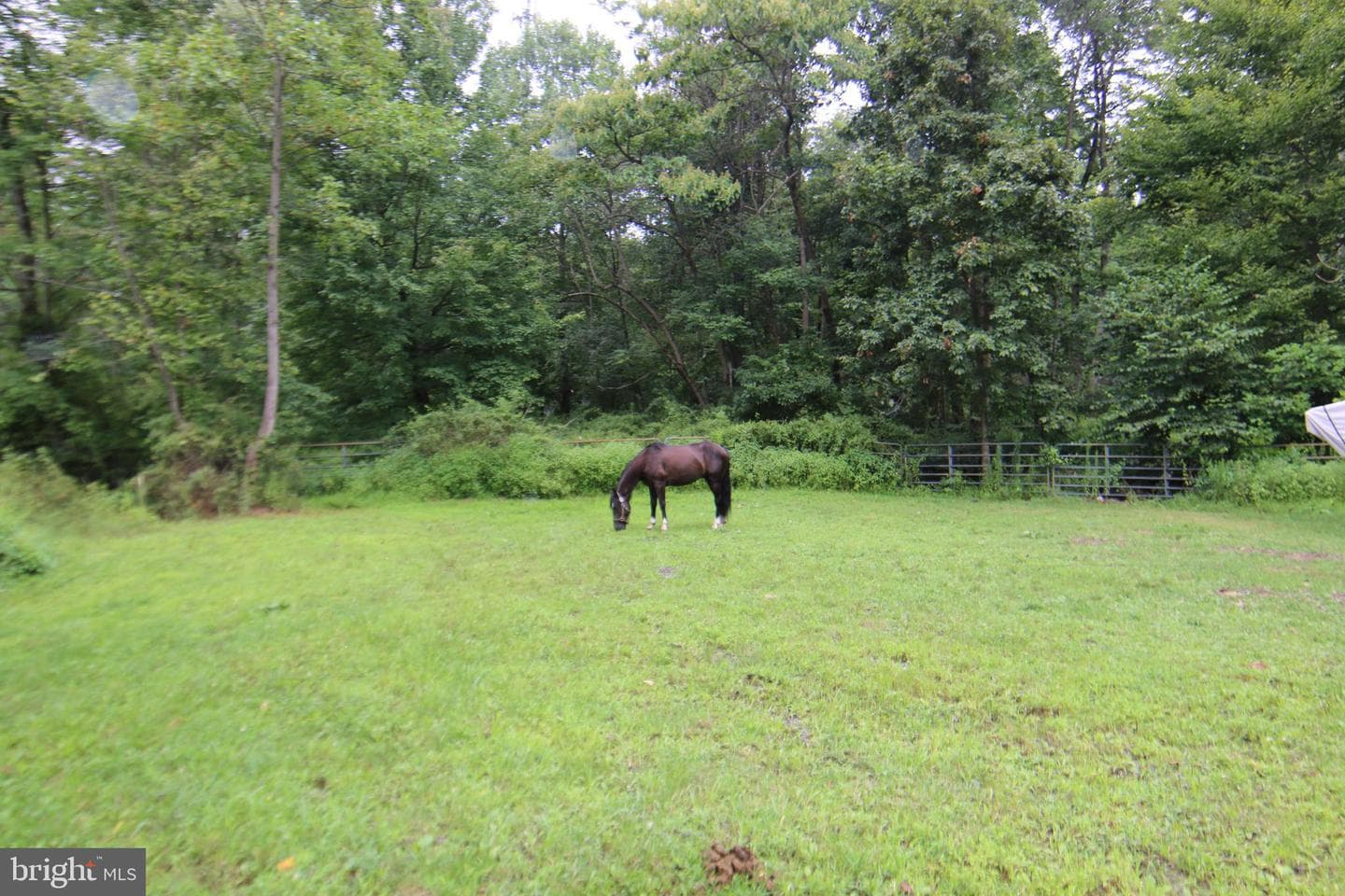 9706 Mountain Road photo 33