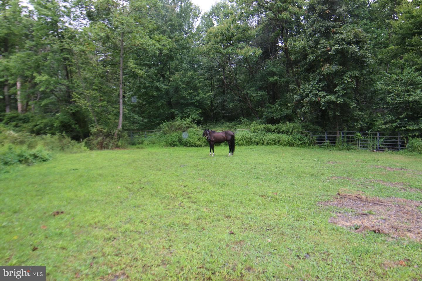 9706 Mountain Road photo 34