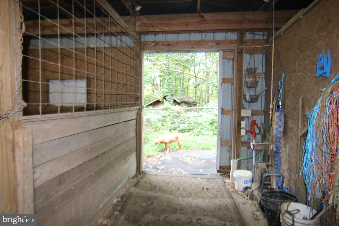 9706 Mountain Road photo 5