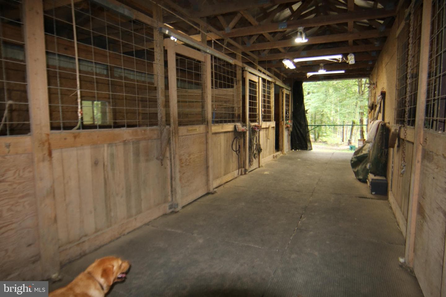9706 Mountain Road photo 8